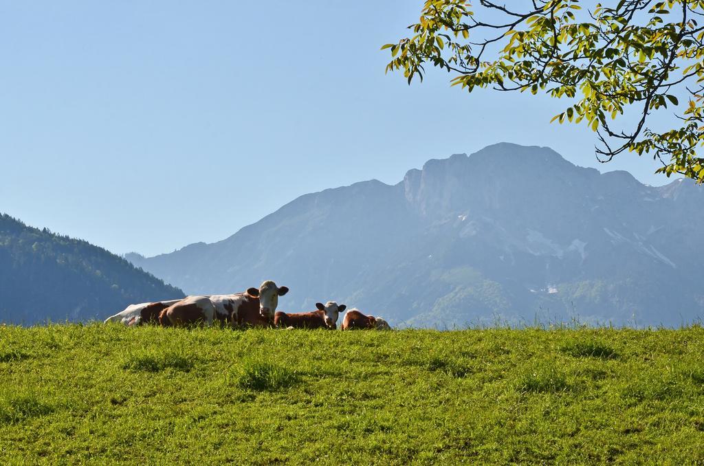 Ferienwohnungen Woferllehen Berchtesgaden Exteriör bild