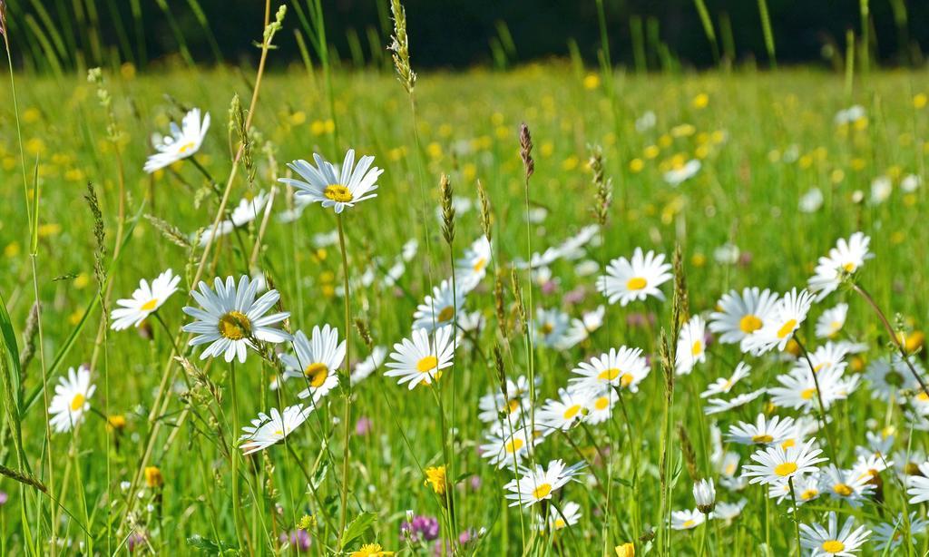 Ferienwohnungen Woferllehen Berchtesgaden Exteriör bild